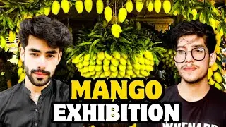 Mango Exhibition in DHA Arena 2024 || Opp BOYZz