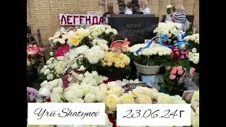 Ангел белых роз.Юрочка Шатунов #шатунов #юрашатунов