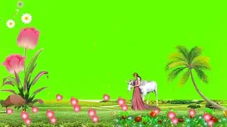 New trending green screen video | Love green screen effects full screen | New green screen video