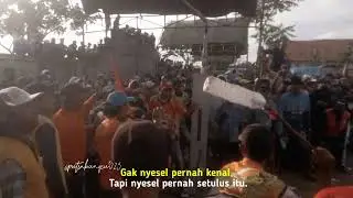 story wa kerapan sapi madura