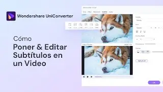 Cómo poner subtítulos a un video | UniConverter 13 Windows