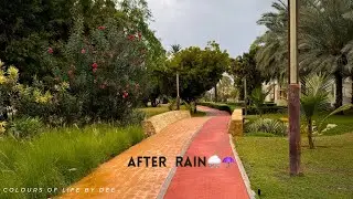 Rainy Day Walk//Its Raining🌧️ in Muscat☔️//Clouds-Rain-Nature-Tea //Muscat-Oman