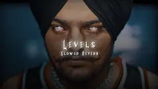 LEVELS ( Slowed + Reverbed ) - Sidhu Moosewala | Endorphin |