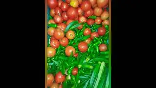 Fruits and vegetables #harvest #youtubeshorts #shorts #nature #organic #chemicalfreeliving #garden