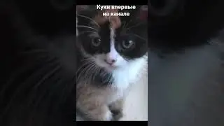 куки впервые на канале