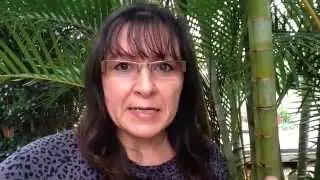 What To Do With Facebook Leads - Part 1 or 4 Part Video Series