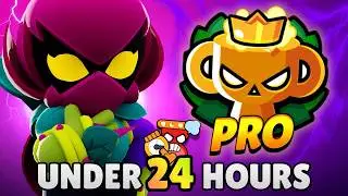 How I Hit PRO RANK in UNDER 24 HOURS
