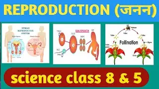 #reproduction