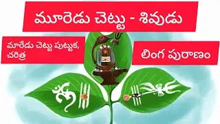 మారేడు చెట్టు శివుడు కి ఎందుకు అంత ప్రియము ?! #videos #telugu #shiv #parvathi #lakshmi #vishnu