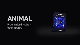 ANIMAL | FREE Artist-inspired EDM Sample Pack & Sylenth1 Presets | Stickz