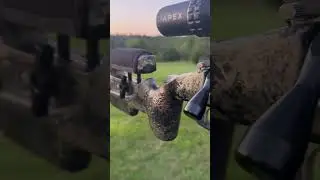 Curtis Scout Rimfire! 