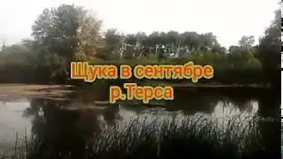 Обычная рыбалка!Ловля спиннингом!