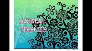 Animal tissue part 1
