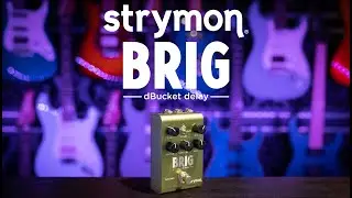 Strymon BRIG dBucket Delay