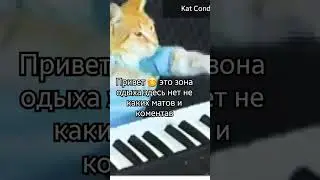 зона одыха😊 #роблокс #кот #зона