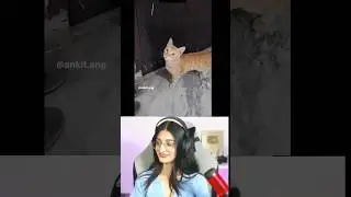 Gate khol de / payal gaming reaction funny video 🤣 / Payal gaming / Omegle #shorts