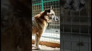 Бесконечная грусть в глазах 😢😢😢