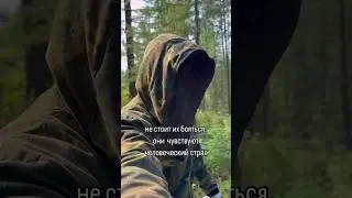 Таежные истории 1