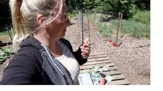 We are DONE with this Garden
