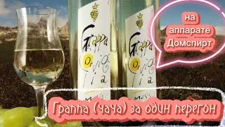Граппа /чача/ на аппарате Domspirt.