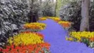 Randy Van Warmer  - Just when I needed you