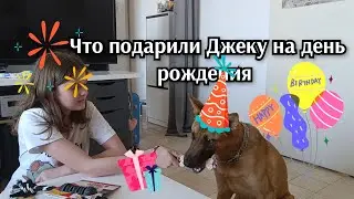 🐶День рождения Джеки🐶//наши достижения за год.👏
