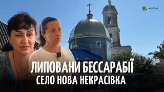Нова Некрасівка: село, де бережуть історію та традиції