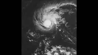 Tropical Storm Joyce (2024)