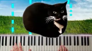 Maxwell The Cat | Piano Cover