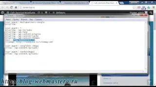 Файл robots.txt (Воробьев Дмитрий)