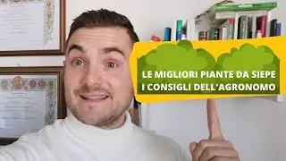 PIANTE DA SIEPE MIGLIORI PER IL GIARDINO: I CONSIGLI DELL'AGRONOMO