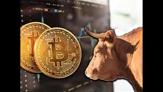 Майнинг 5 ноября 2020. Биткоин 15 000! Монетка X10!!!