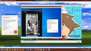 Windows XP HAS BSOD