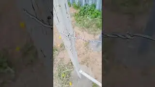 The fastest way to tension grape trellis wire. Turnbuckles – time to scrap them!