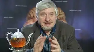 С. Савельев  Молчащие области нашего мозга