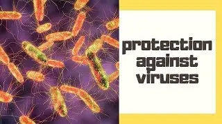 Tips for protection against viruses in the fall