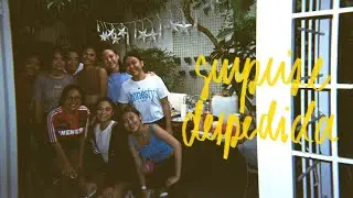 Surprise Despedida