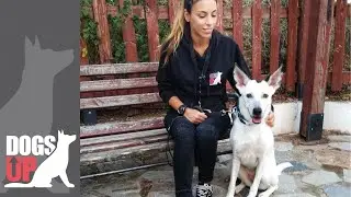 Βασική Εκπαίδευση με την Dalma πριν και μετά