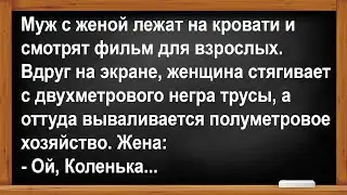 Жена впервые увидела такой размер... Анекдоты! Юмор! Позитив!