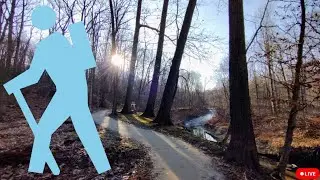 Virtual x Forest Hiking 2.01 / sunny, autumn, scenic