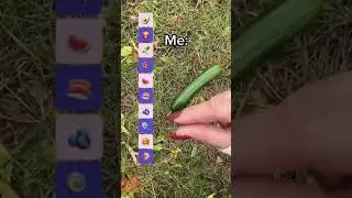 Игра Угадай что выпадет