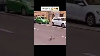 Respect 🤯😱