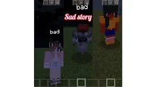 Minecraft sad and happy story