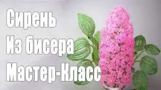 Бисер класс  Как своими руками сделать из бисера сирень