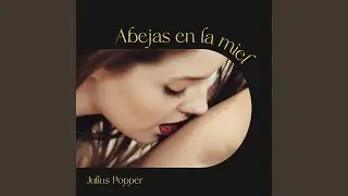 Abejas En La Miel
