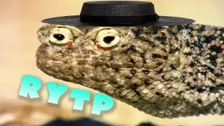 Природный пуп | RYTP