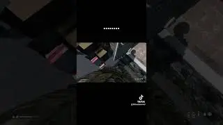 Dayz moment 