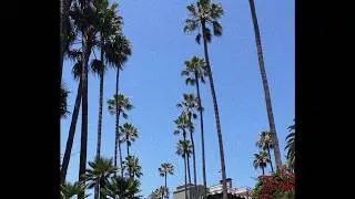 [FREE] WEST COAST TYPE BEAT - 