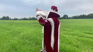 Дед Мороз и лето