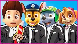 Paw Patroll Movie - Coffin Dance Astronomia (COVER)
